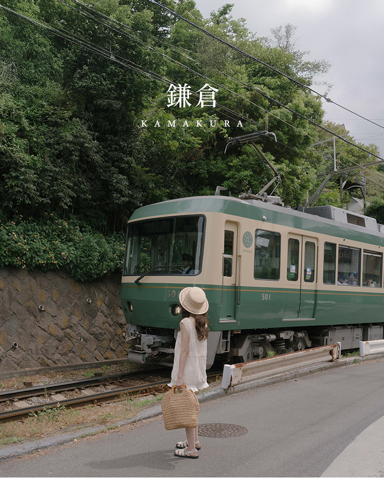 杏