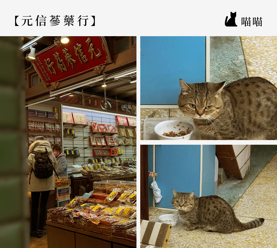 【Taipei．台北大稻埕】跟著貓印走！ 解鎖老派巷弄的「大稻埕．尋貓地圖」s2
