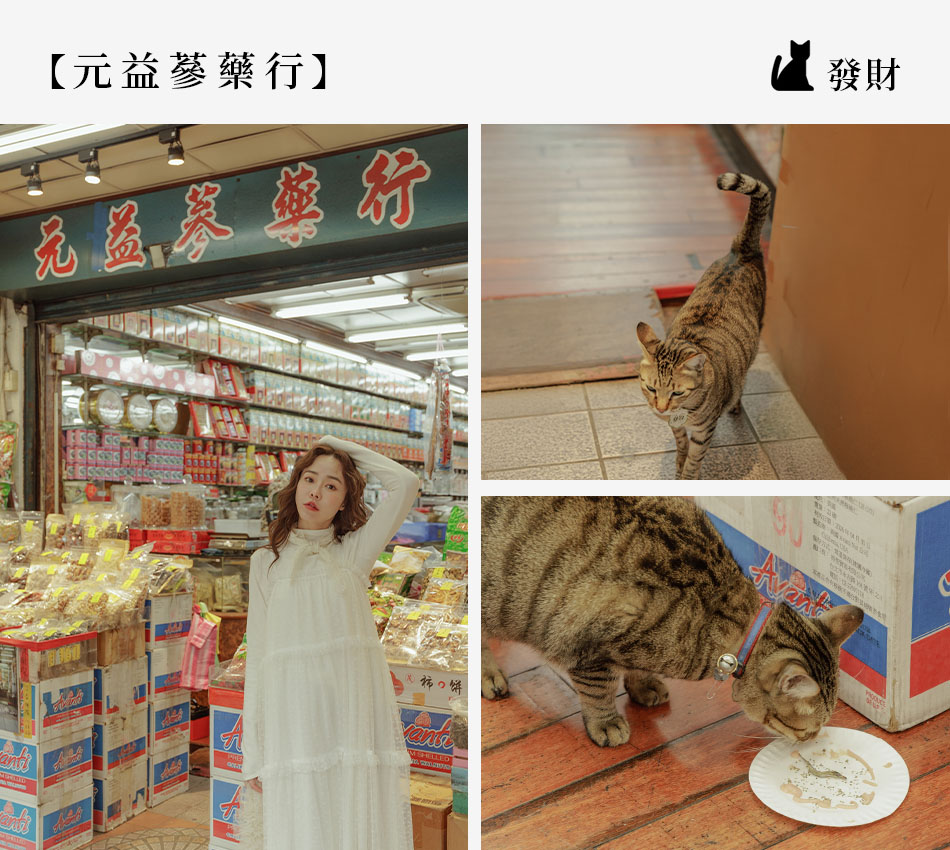 【Taipei．台北大稻埕】跟著貓印走！ 解鎖老派巷弄的「大稻埕．尋貓地圖」s2
