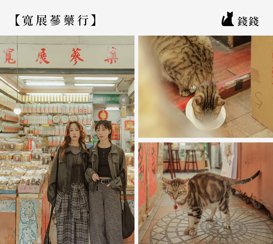 【Taipei．台北大稻埕】跟著貓印走！ 解鎖老派巷弄的「大稻埕．尋貓地圖」s2