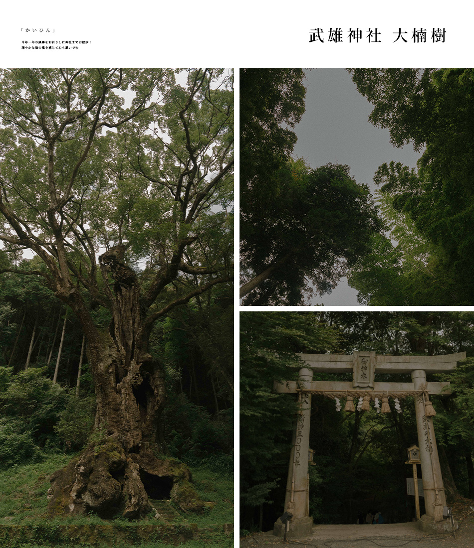 【日本佐賀 ‧ 旅拍】寶藏大公開! 佐賀必去景點全攻略